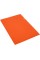 Папка-уголок Economix А4 плотная оранжевая (10)  E31153-06  