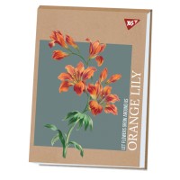 Альбом для малюв. склейка 40/100 А4 "Lily" крафт білила №130584/Yes/(6)(60)