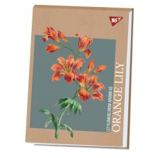 Альбом для малюв. склейка 40/100 А4 "Lily" крафт білила №130584/Yes/(6)(60)